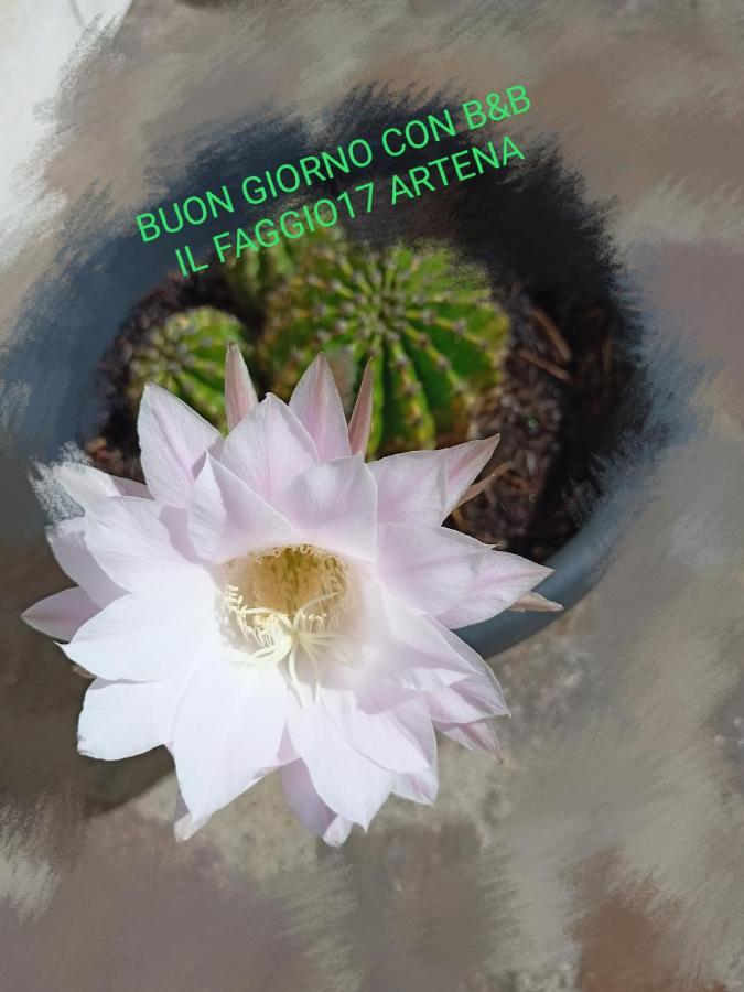 ארטנה Il Faggio 17 B&B מראה חיצוני תמונה