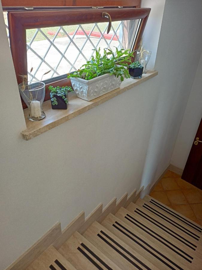 ארטנה Il Faggio 17 B&B מראה חיצוני תמונה