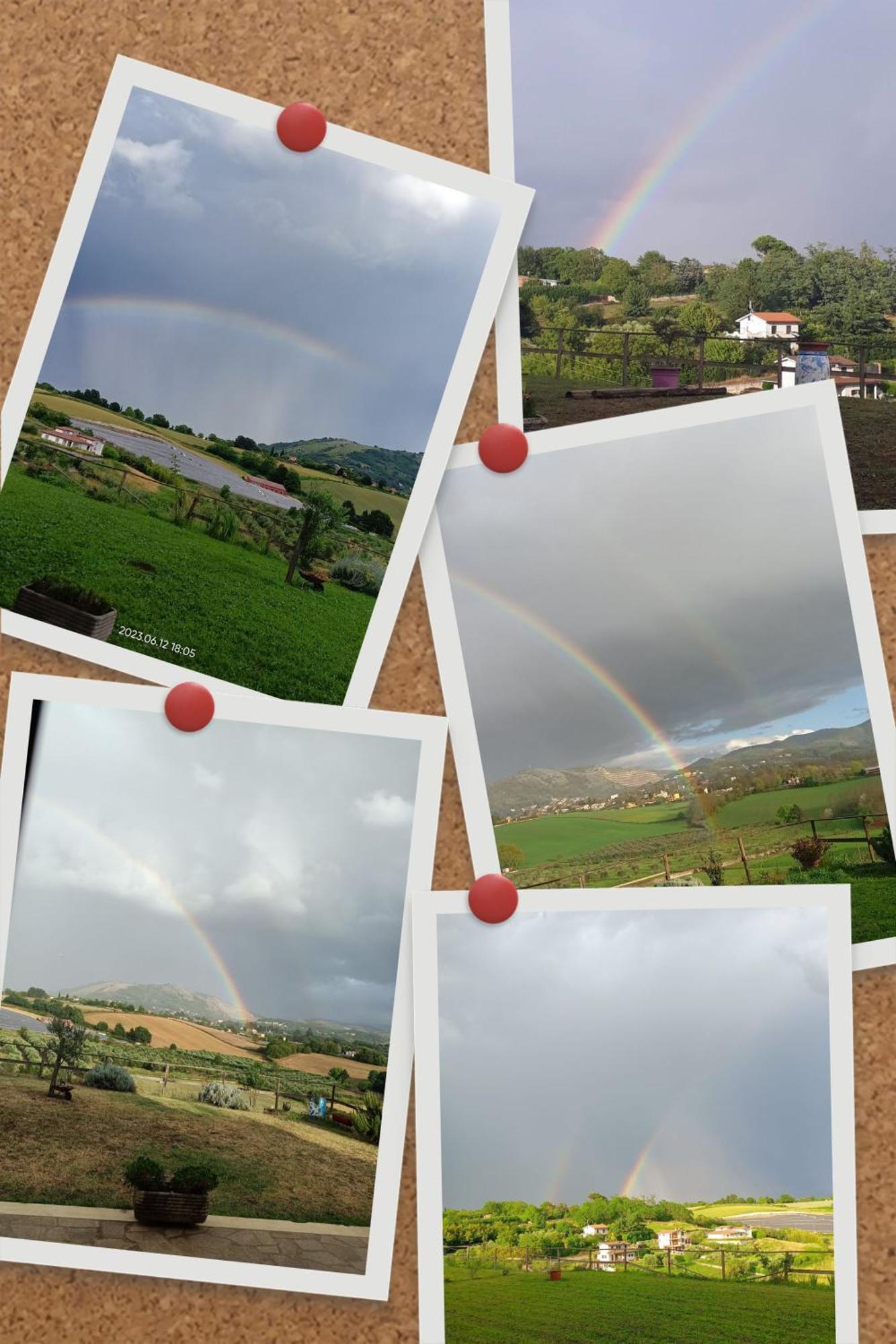 ארטנה Il Faggio 17 B&B מראה חיצוני תמונה