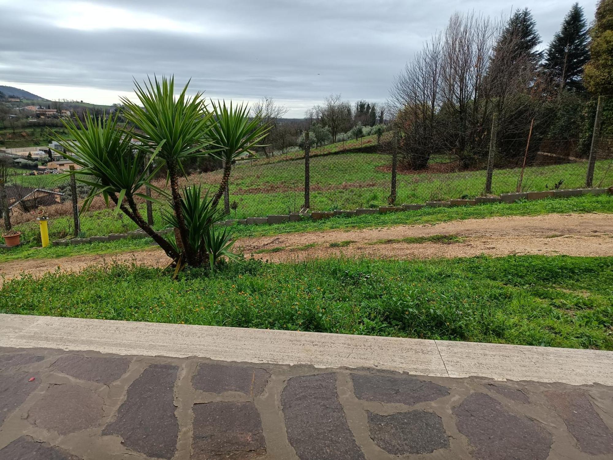 ארטנה Il Faggio 17 B&B מראה חיצוני תמונה