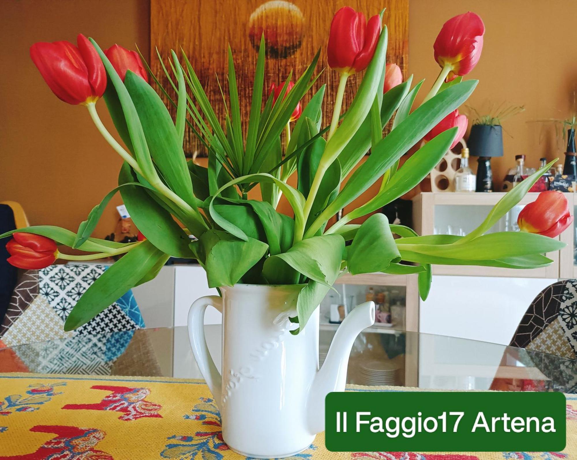 ארטנה Il Faggio 17 B&B מראה חיצוני תמונה