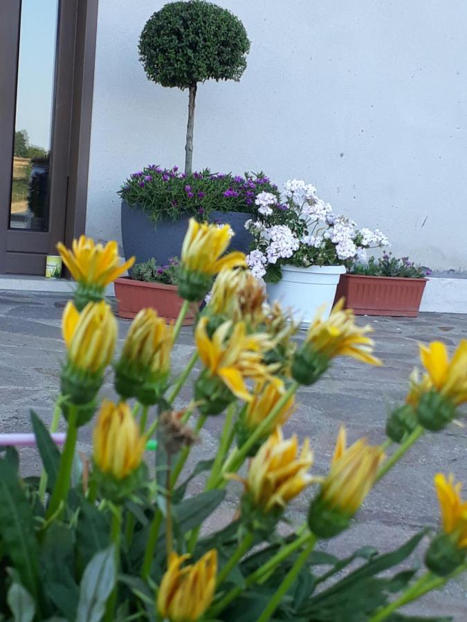 ארטנה Il Faggio 17 B&B מראה חיצוני תמונה